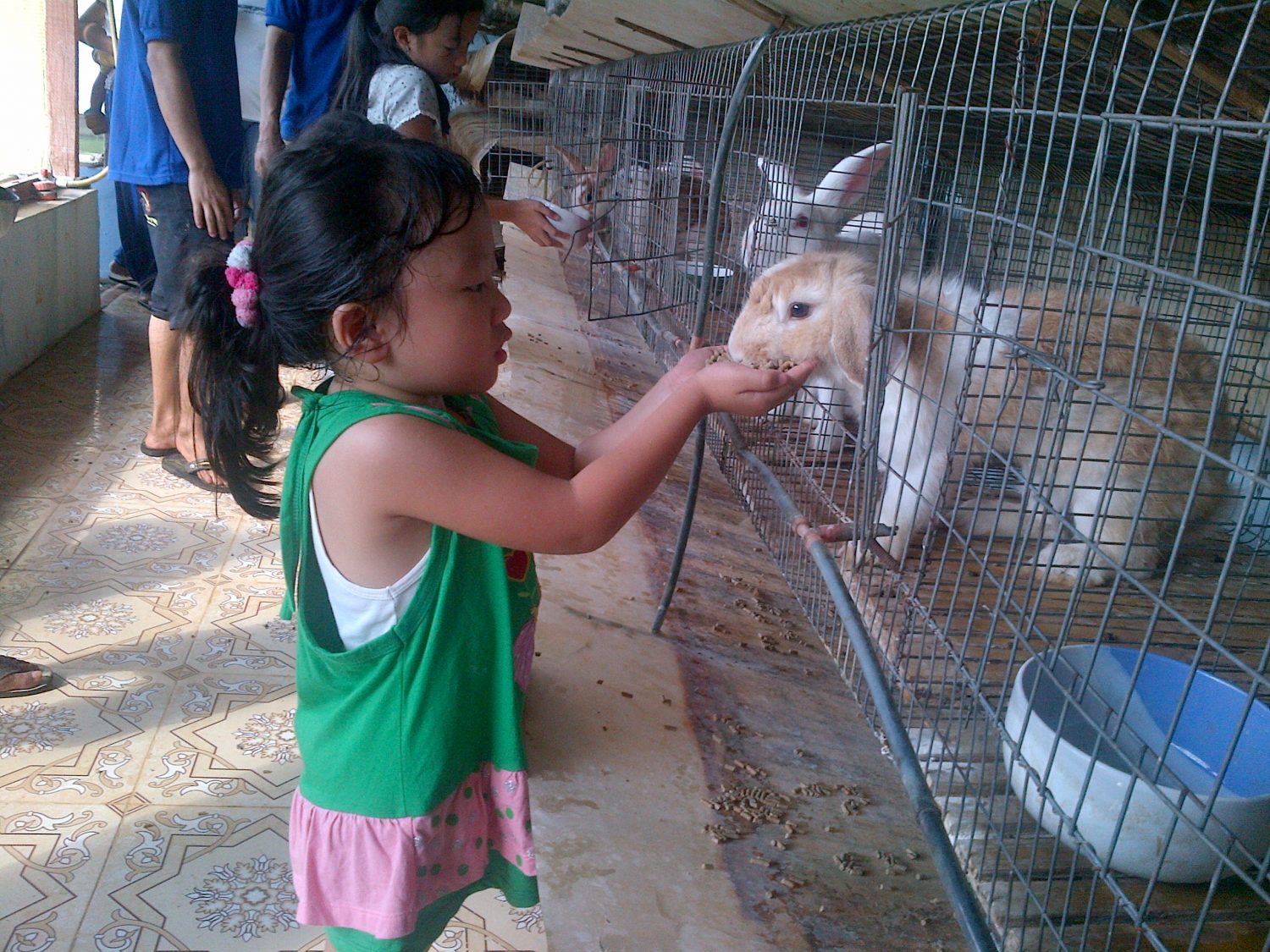 IMG-20130615-01061